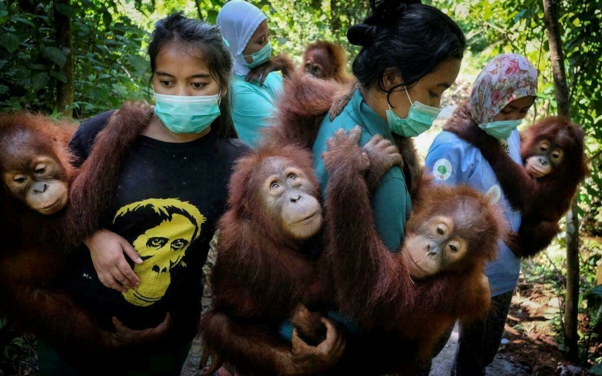 World Press Photo Ausstellung 2021 Kitzingen 1. Preis Fotoserien Foto Alain Schroeder for National Geographic World Press Photo Ausstellung 2021 Kitzingen 1. Preis Fotoserien Foto Alain Schroeder for National Geographic